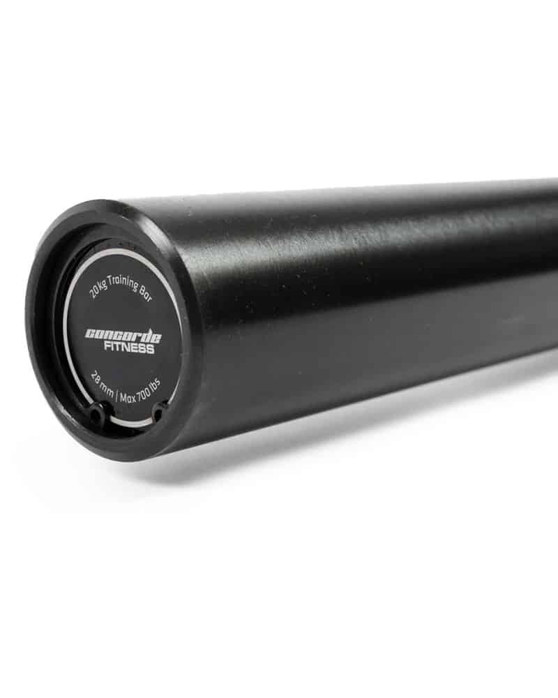 Close up of the endocarp of the Concorde 45lb barbell