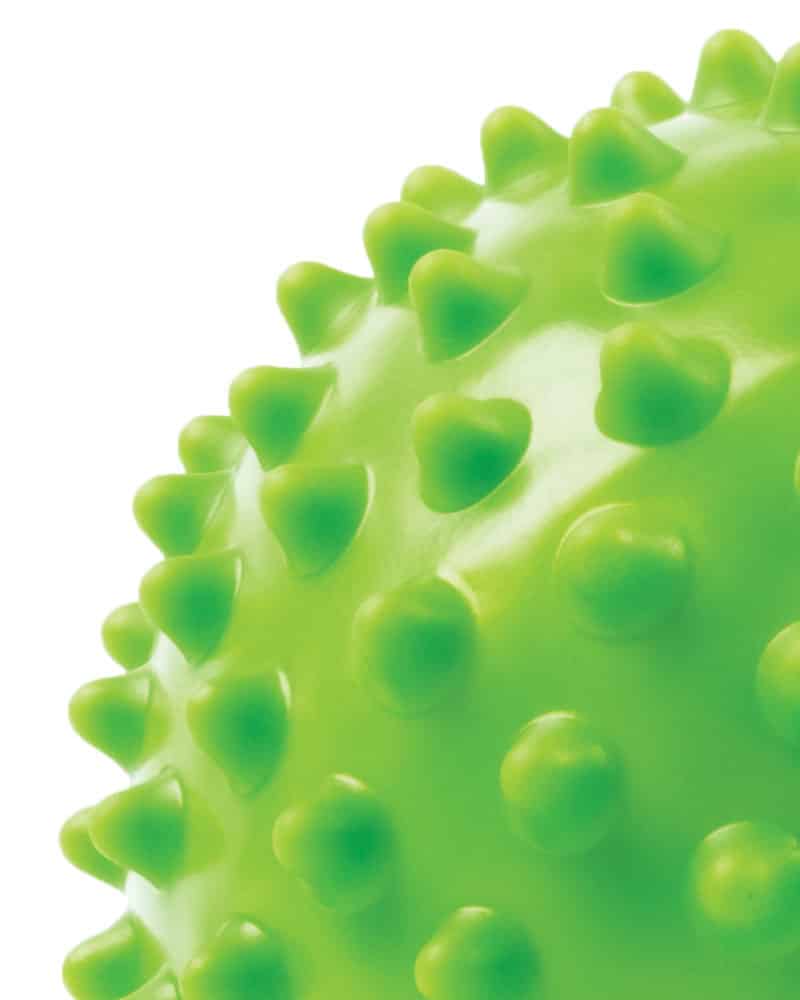 Porcupine Ball Close-up