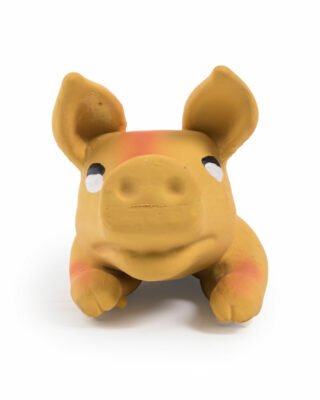 Rubber Tossable Pig Face